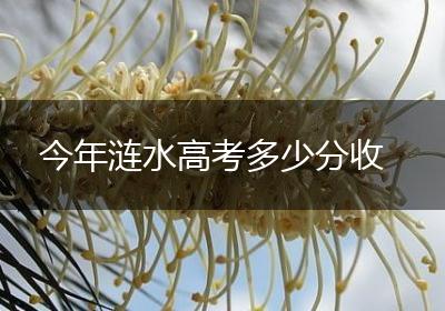 今年涟水高考多少分收
