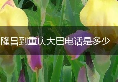 隆昌到重庆大巴电话是多少