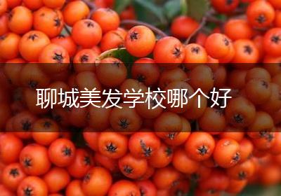 聊城美发学校哪个好