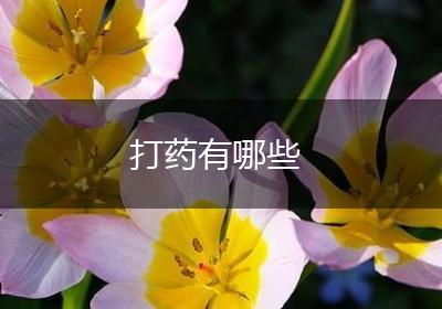 打药有哪些