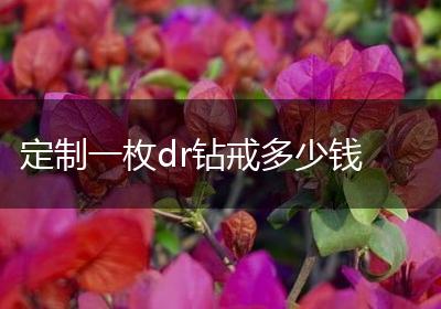 定制一枚dr钻戒多少钱
