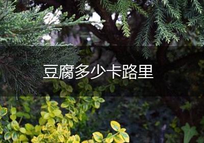 豆腐多少卡路里