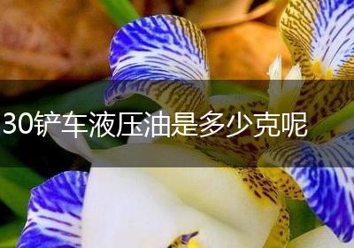 30铲车液压油是多少克呢