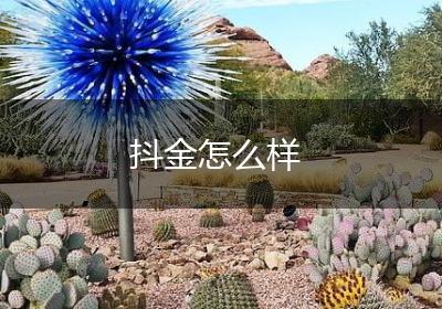 抖金怎么样