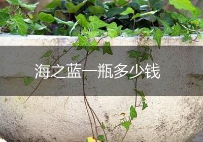 海之蓝一瓶多少钱