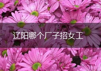 辽阳哪个厂子招女工