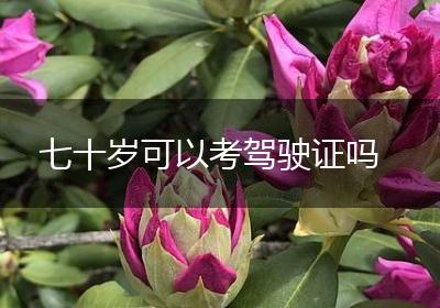 七十岁可以考驾驶证吗