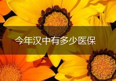 今年汉中有多少医保