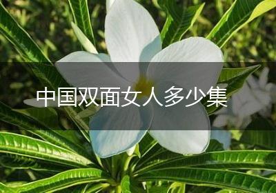 中国双面女人多少集