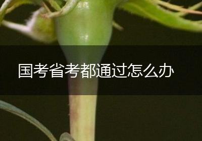 国考省考都通过怎么办