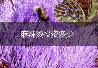 麻辣烫投资多少