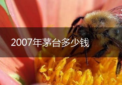 2007年茅台多少钱