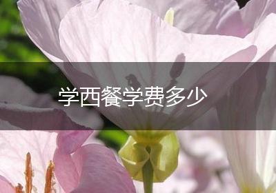 学西餐学费多少