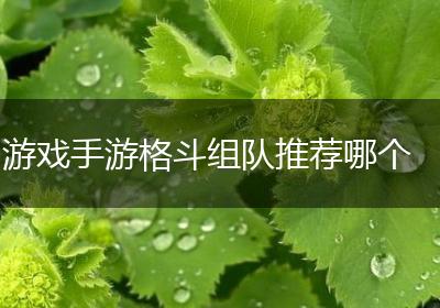 游戏手游格斗组队推荐哪个