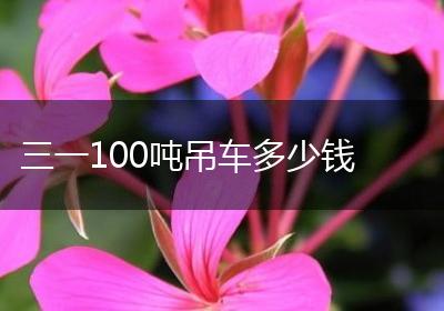 三一100吨吊车多少钱