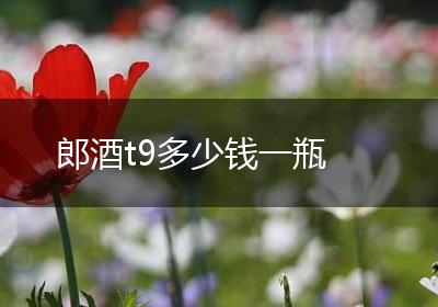 郎酒t9多少钱一瓶