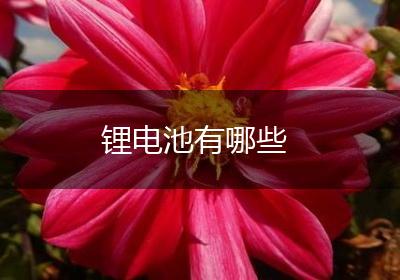锂电池有哪些