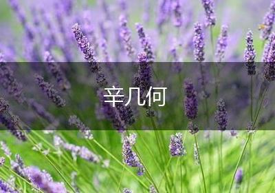 辛几何