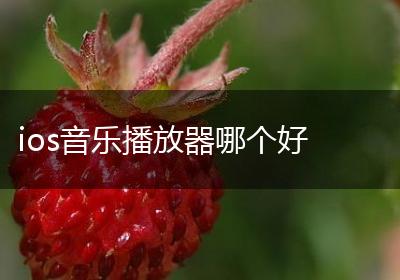 ios音乐播放器哪个好