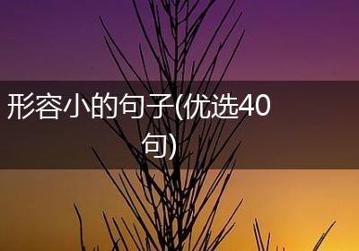 形容小的句子(优选40句)