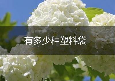 有多少种塑料袋