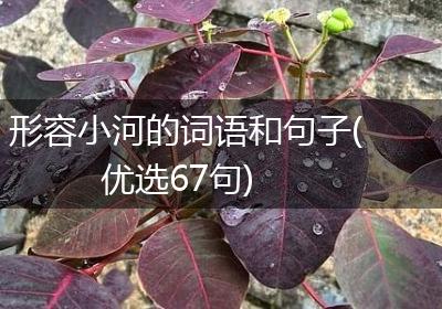 形容小河的词语和句子(优选67句)