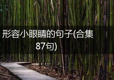形容小眼睛的句子(合集87句)
