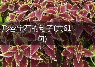 形容宝石的句子(共61句)