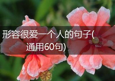 形容很爱一个人的句子(通用60句)