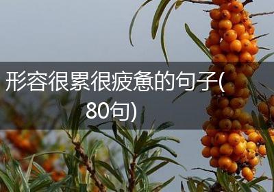 形容很累很疲惫的句子(80句)