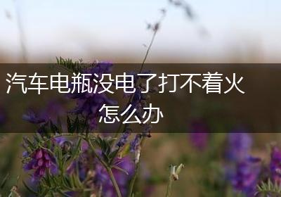 汽车电瓶没电了打不着火怎么办