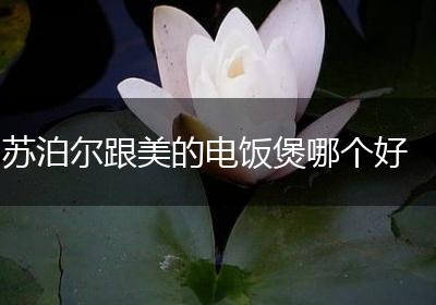 苏泊尔跟美的电饭煲哪个好
