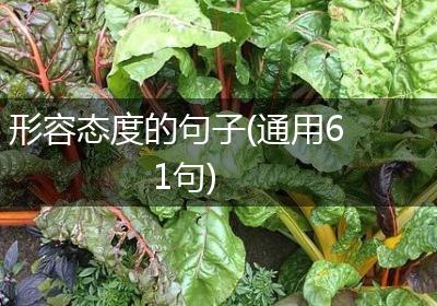 形容态度的句子(通用61句)