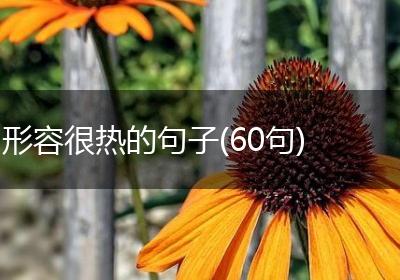 形容很热的句子(60句)