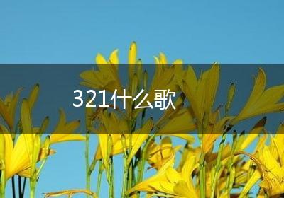 321什么歌