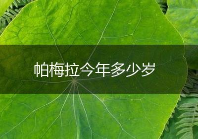 帕梅拉今年多少岁