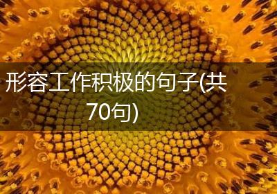 形容工作积极的句子(共70句)