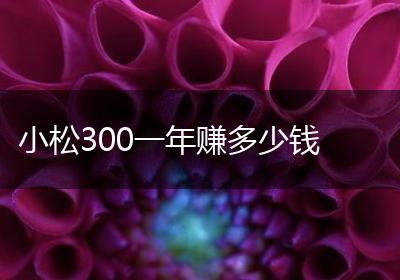 小松300一年赚多少钱