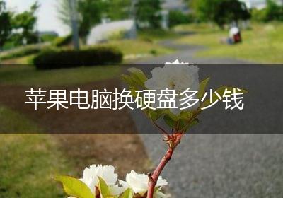 苹果电脑换硬盘多少钱
