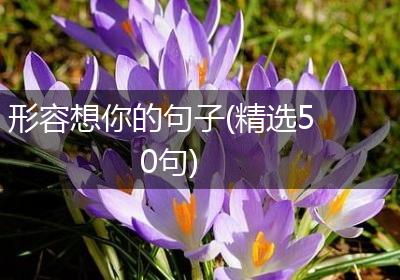 形容想你的句子(精选50句)