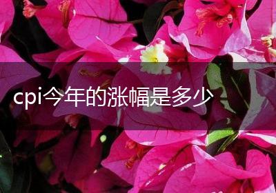 cpi今年的涨幅是多少