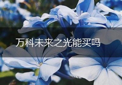 万科未来之光能买吗