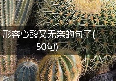 形容心酸又无奈的句子(50句)