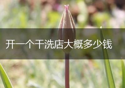 开一个干洗店大概多少钱