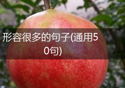 形容很多的句子(通用50句)