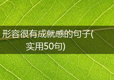 形容很有成就感的句子(实用50句)
