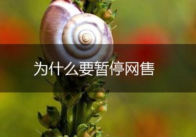 为什么要暂停网售