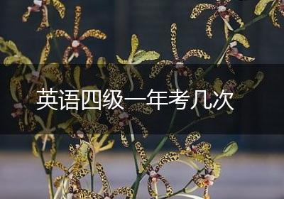 英语四级一年考几次