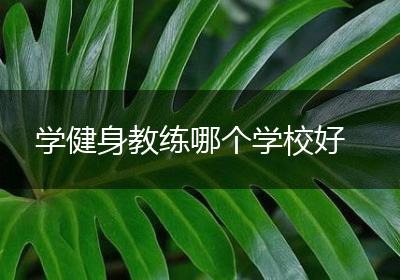 学健身教练哪个学校好
