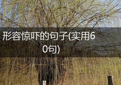 形容惊吓的句子(实用60句)